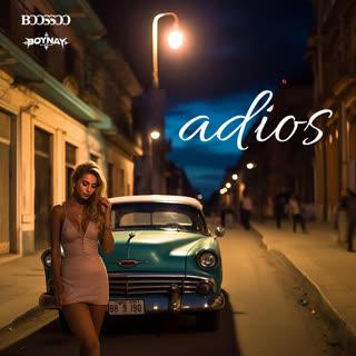 Portada de Adios