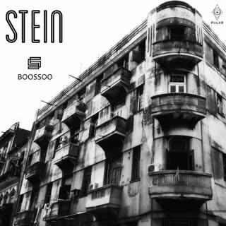 Portada de Stein